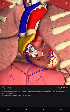 teamLabBody-Internal Organs-のおすすめ画像3