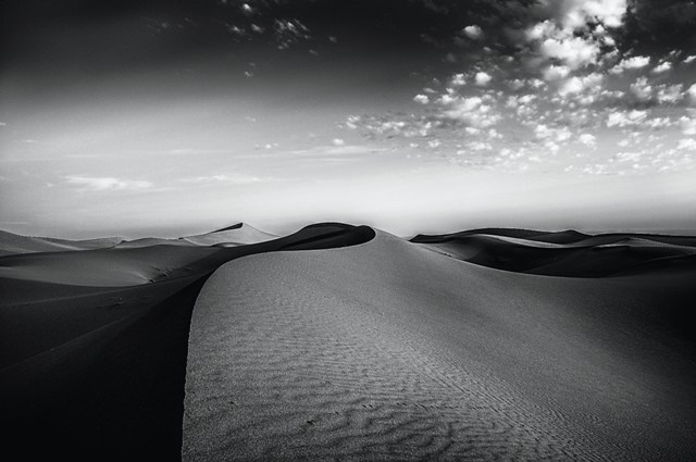 DESERT DREAM di Irene Vallerotonda