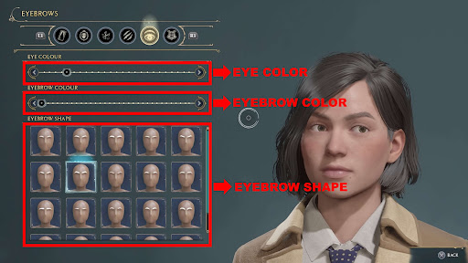 Select Eye Color and Eyebrow Shape