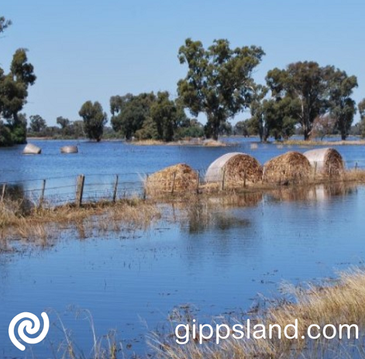 Gippsland and the Latrobe Valley worst hit, leaving a path of destruction, floods and power outages in its wake