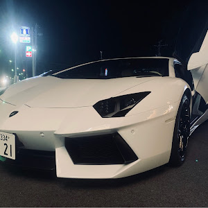 ティアナ L33