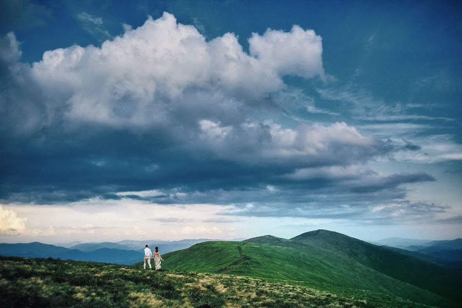 Wedding photographer Mike Shpenyk (monrophotography). Photo of 13 January 2016