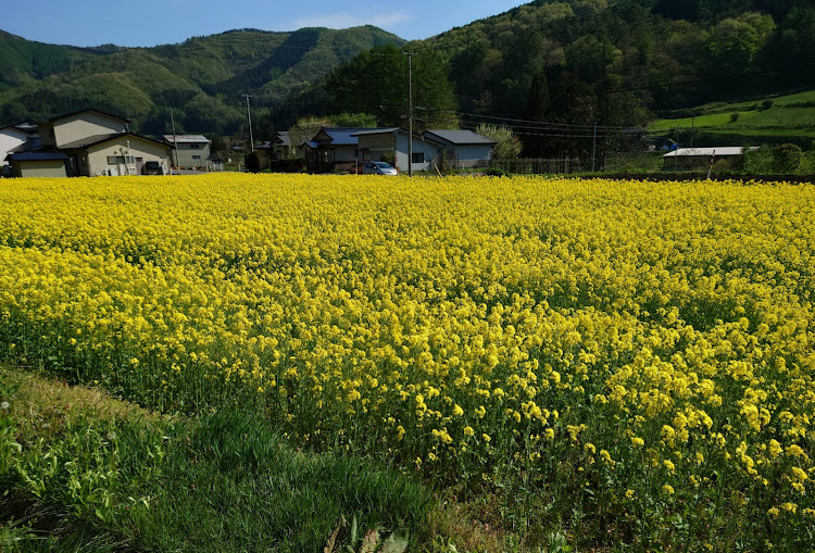 の投稿画像2枚目