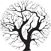 VSP Tree Surgery  Logo