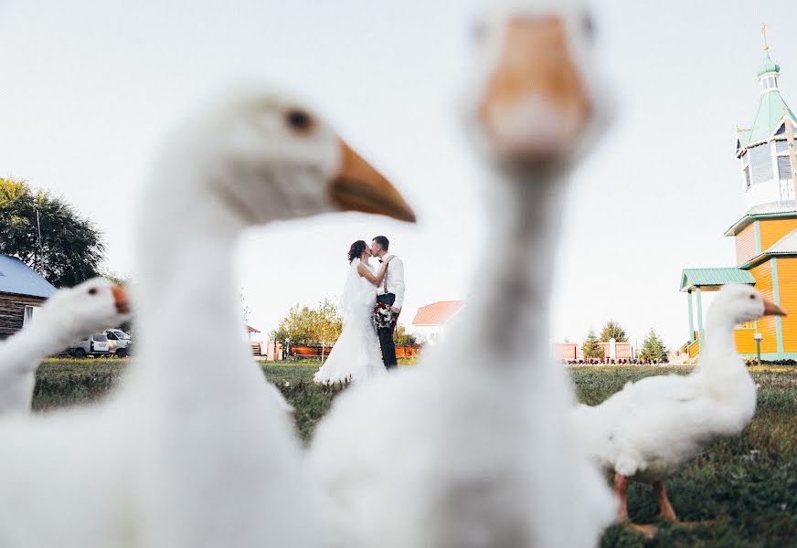 Wedding photographer Elchin Musaev (elkamusaev). Photo of 10 September 2017