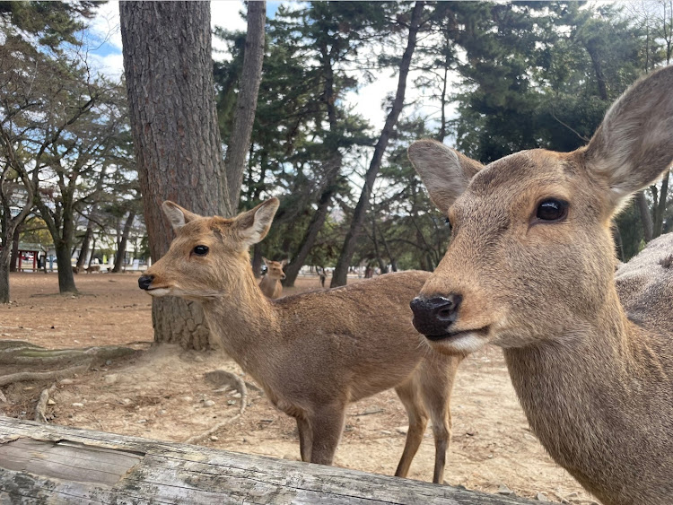 の投稿画像2枚目