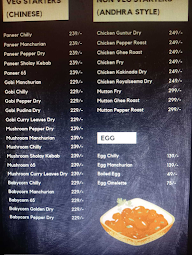 Red Chilly Spice menu 2