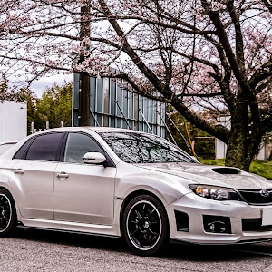 インプレッサ WRX STI GVF