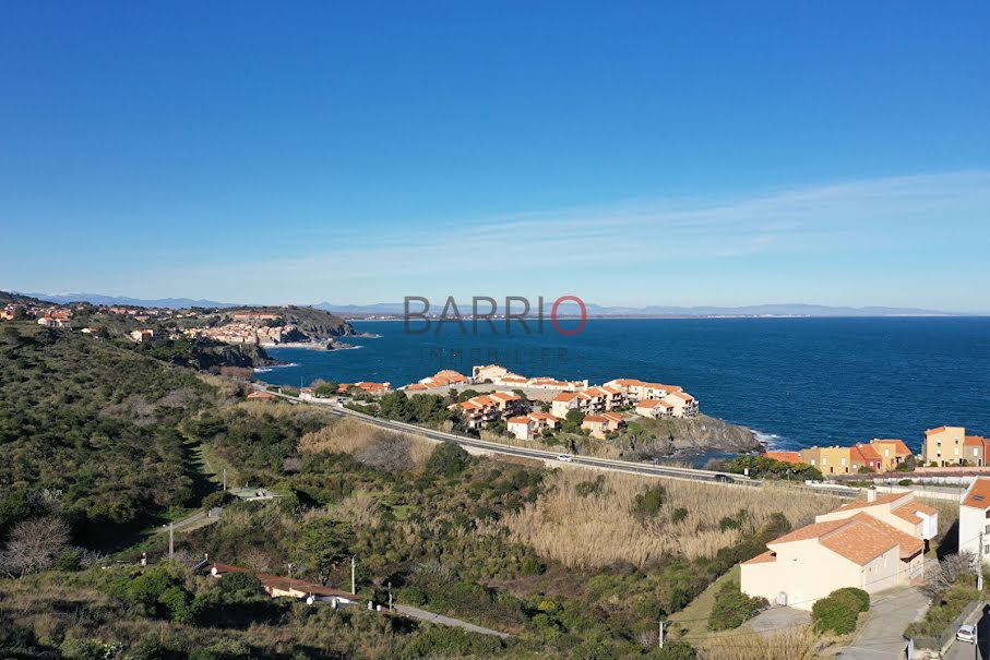 Vente appartement 2 pièces 40.2 m² à Port-Vendres (66660), 256 000 €