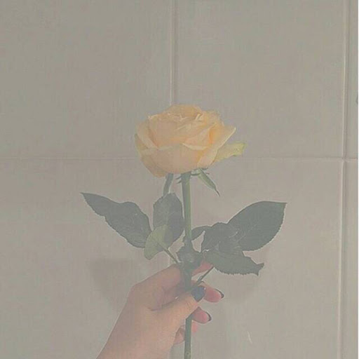 🥀＿＿＿E N A🥀
