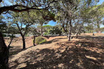 terrain à Sainte-Maxime (83)