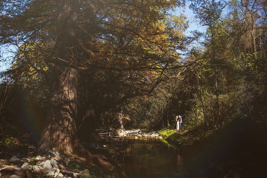 Fotografo di matrimoni Mayra Rodriguez (rodrguez). Foto del 5 dicembre 2014