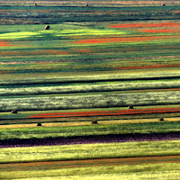 tavolozza di colori di 