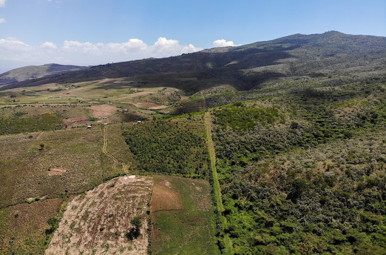 An electric fence separates agricultural land and the Eburru forest reserve, Kenya, January 28, 2021. Picture taken January 28, 2021.