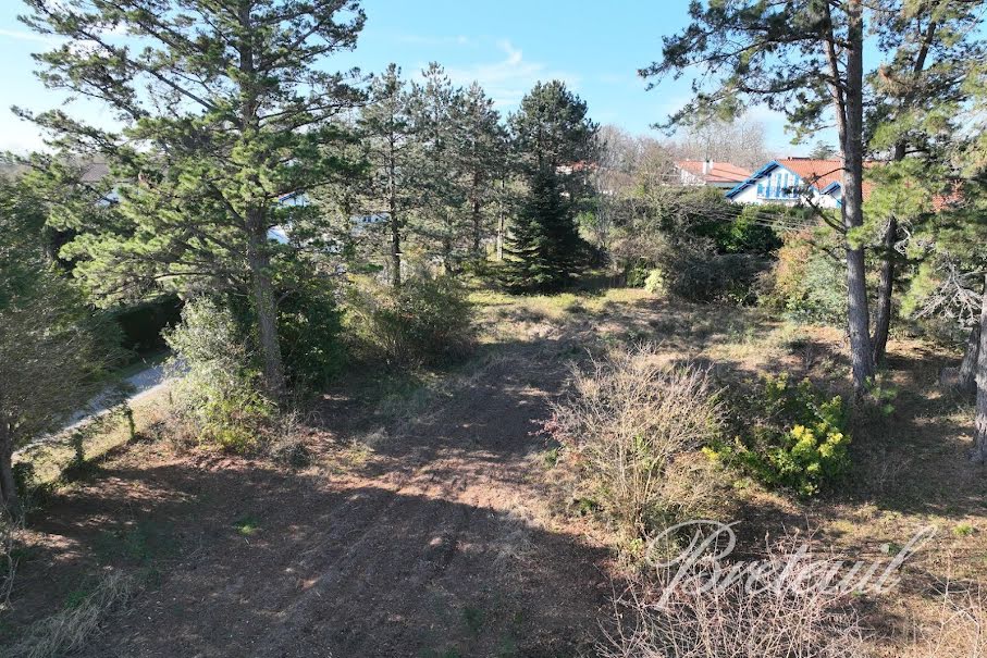 Vente terrain  1315 m² à Arcangues (64200), 395 000 €