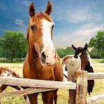 Cover Image of Download My horse hotel resorts : train & care horses 1.0.1 APK