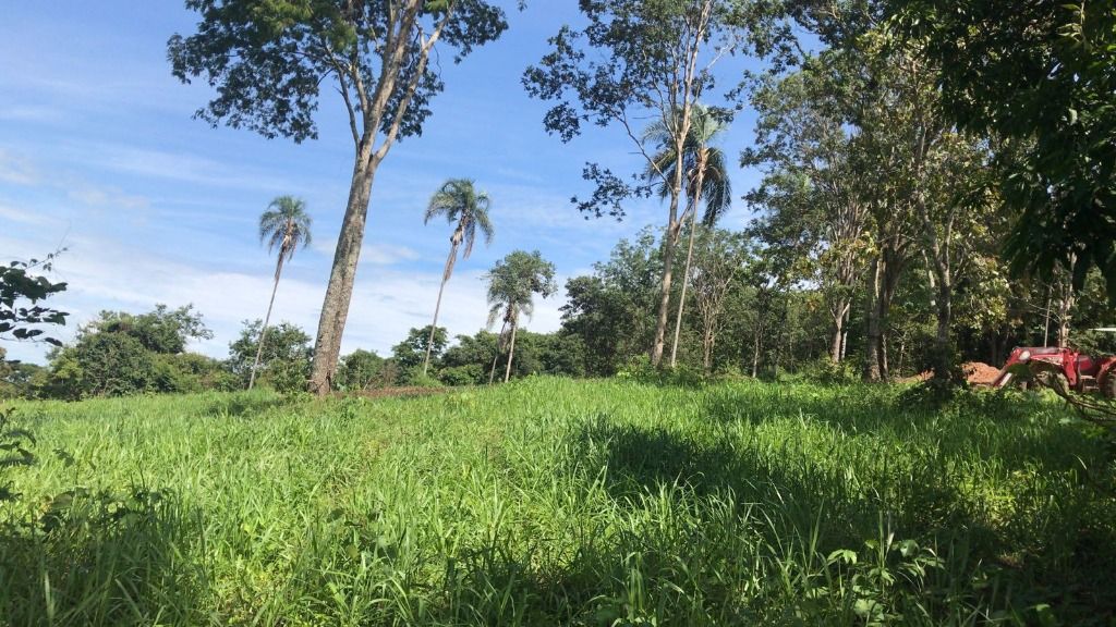 Fazendas à venda Zona Rural