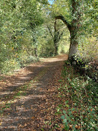 propriété à Beaumont-Pied-de-Boeuf (72)