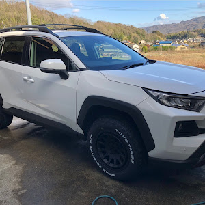 RAV4 MXAA54