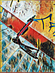 scooter
