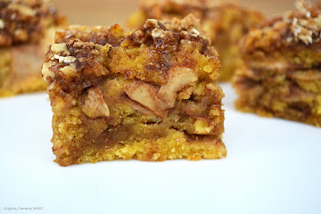 Maple Apple and Walnut Slice