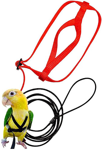 Title 4, Enjoy safe outdoor flight with your parrot usin...