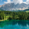 Item logo image for Forests, lakes and mountains