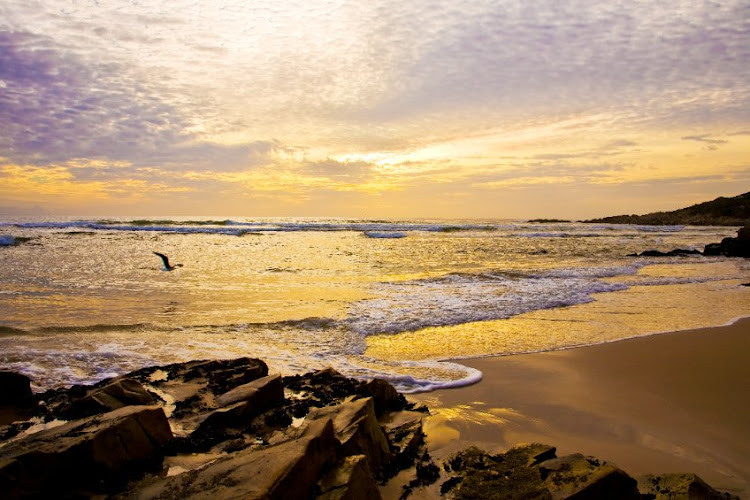 Lookout Beach at sunrise in Plettenberg Bay. Stock photo.