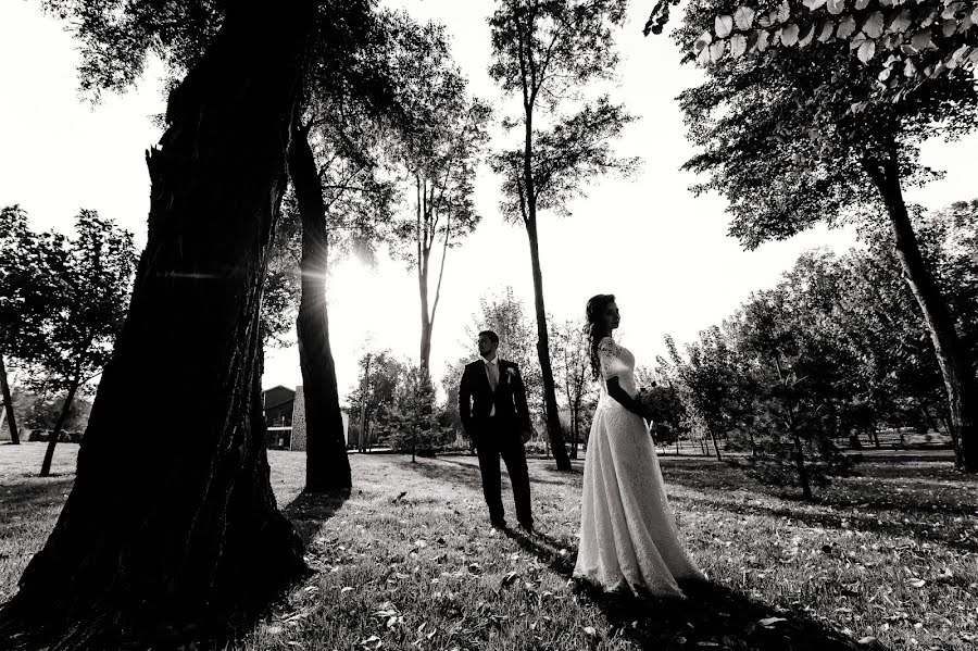 Fotografo di matrimoni Vladimir Ryabkov (stayer). Foto del 28 ottobre 2016