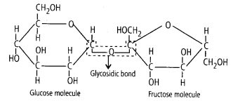 Solution Image