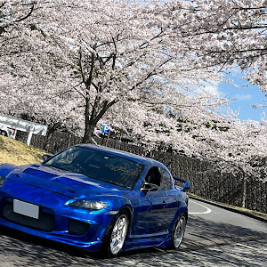 RX-8 SE3P