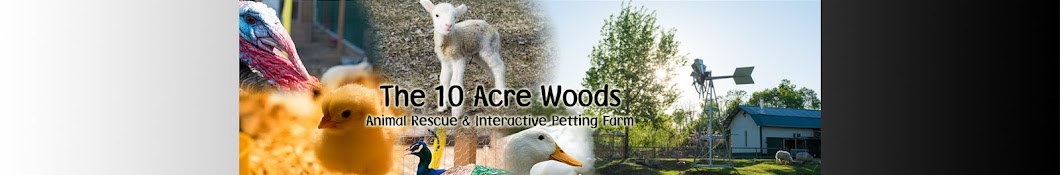 The 10 Acre Woods Banner