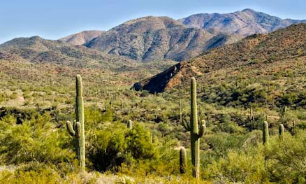 rita ranch desert landscape image