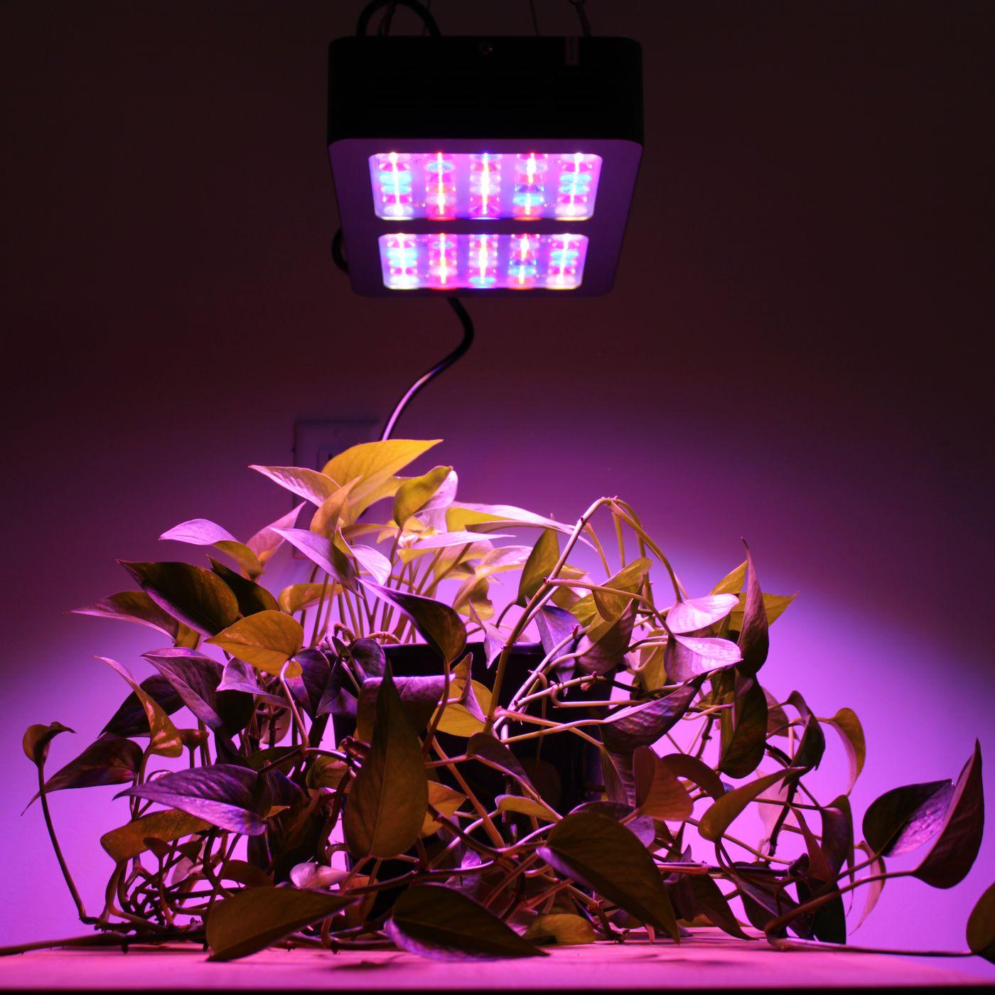 LED Grow lights