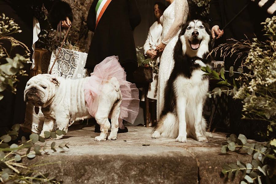 Fotógrafo de bodas Noemi Alessandra (noemialessandra). Foto del 4 de enero