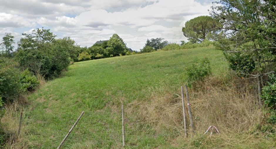 Vente terrain  1250 m² à Ussac (19270), 54 999 €