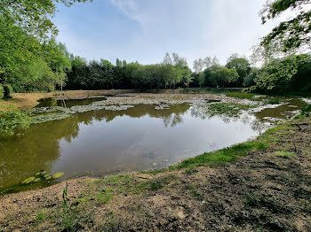 terrain à Langouet (35)