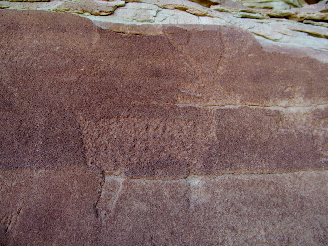 Deer petroglyph