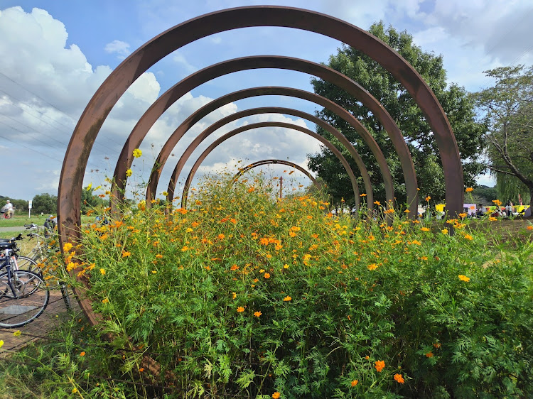 500の水曜どうでしょう・藩士・onちゃん・下痢気味に関するカスタム事例の投稿画像11枚目