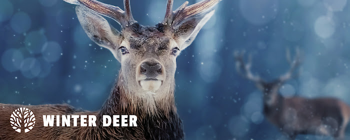 Winter Deer HD Wallpapers New Tab Theme marquee promo image