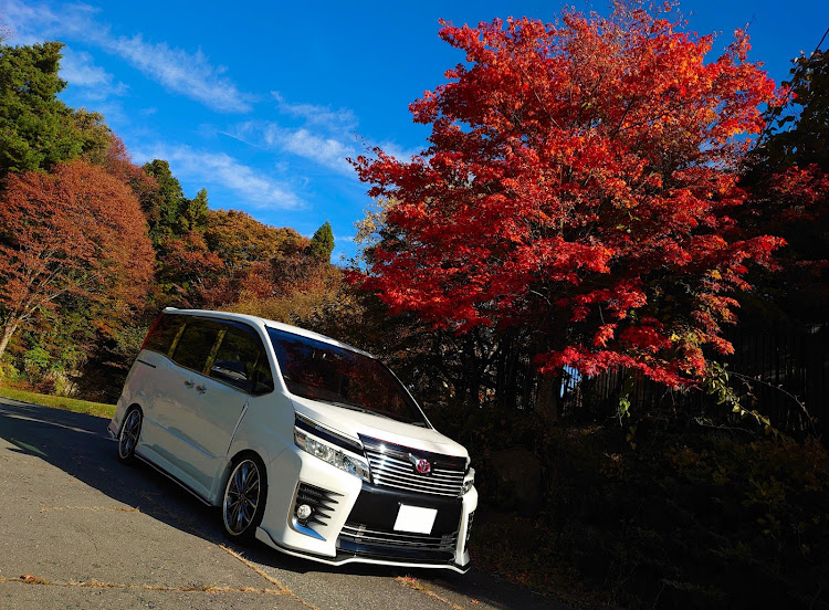 ヴォクシーの紅葉ドライブ・紅葉と愛車・紅葉・早朝写活・青空と愛車に関するカスタム事例の投稿画像4枚目