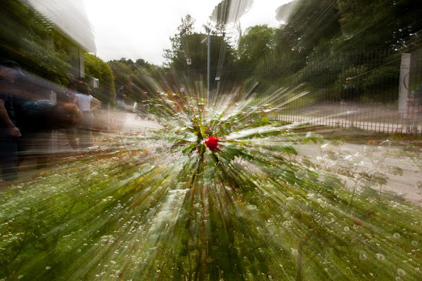 Zooming test di Andrea Calò