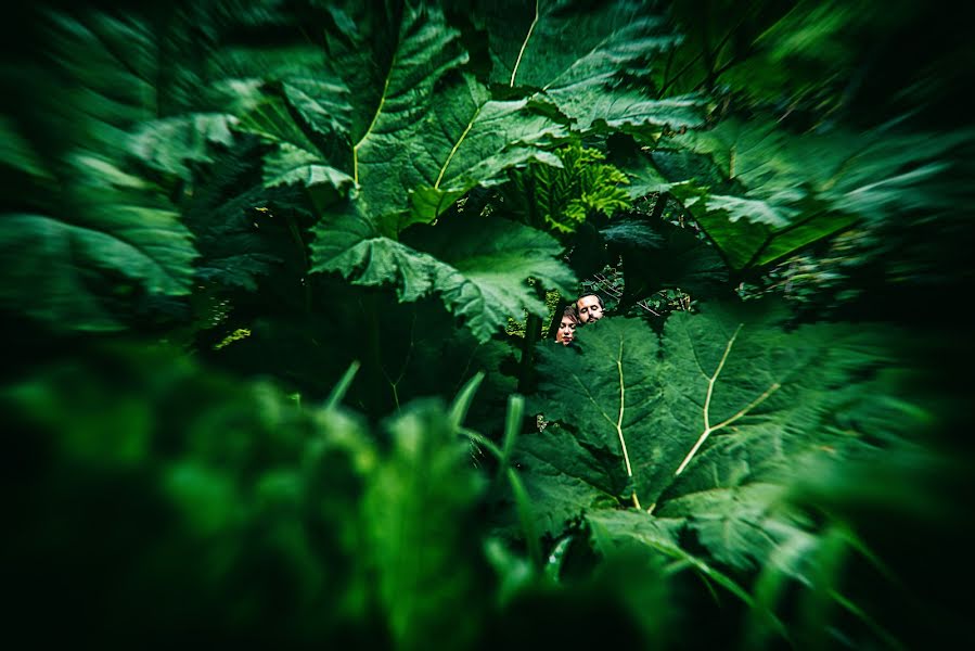 Düğün fotoğrafçısı Paco Tornel (ticphoto). 27 Eylül 2017 fotoları