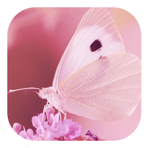 Pink butterfly lovely theme  Icon