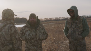 South Dakota Snow Geese thumbnail