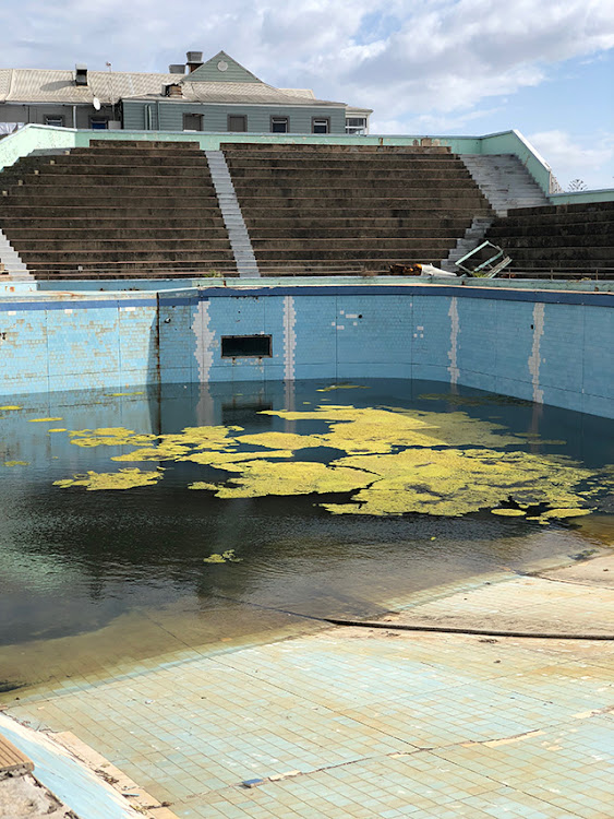 The dolphin pool at Bayworld