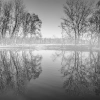 il silenzio sul fiume di 