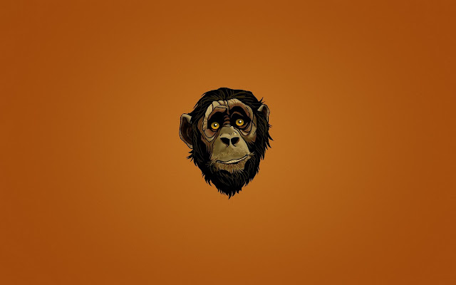 Monkey Wallpaper