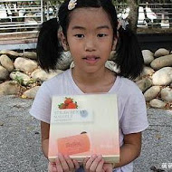 skyson 天子舒芙蕾