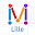 Subway Lille - Free & offline Download on Windows